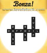 bonza-word-puzzle-4-3950552