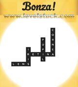 bonza-word-puzzle-pack-9-3005001