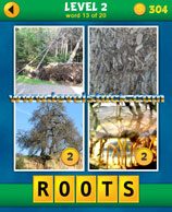4-pics-1-word-puzzle-plus-level-2-13-9348404